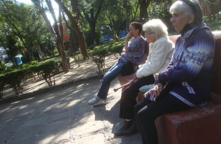 Sin consulta la desaparición del INAPAM; No pasará la iniciativa, aseguran diputadas