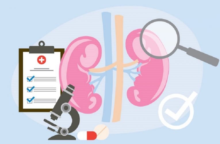 Cleveland Clinic impulsa innovación en trasplantes ante el llamado urgente a la prevención de enfermedades renales en México